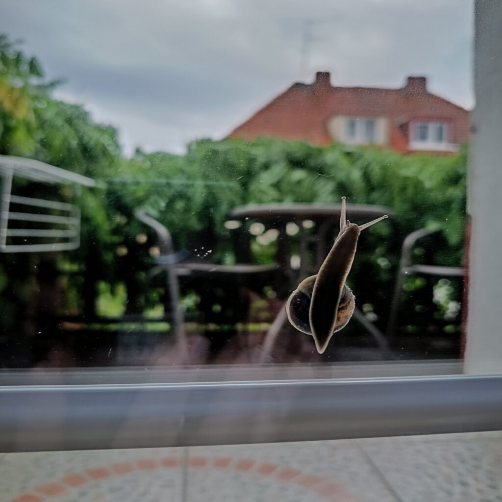 Slow life - noclegi nad morzem