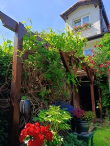 Ogród Pensjonatu nad morzem w Ustce